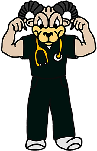 v.c.u. mascot rodney the ram dressed in a nurse uniform and flexing his muscles